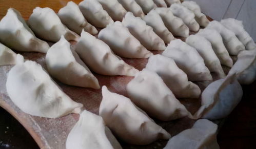 冰箱存餃有妙招，簡(jiǎn)單一步保鮮月余